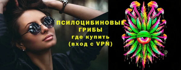 ГАЛЛЮЦИНОГЕННЫЕ ГРИБЫ Алексин