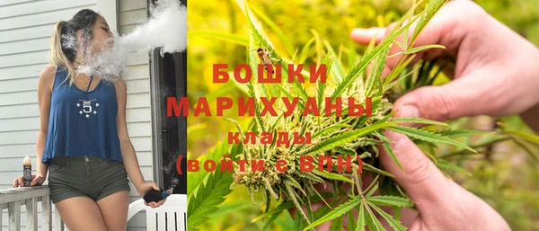ГАЛЛЮЦИНОГЕННЫЕ ГРИБЫ Алексин