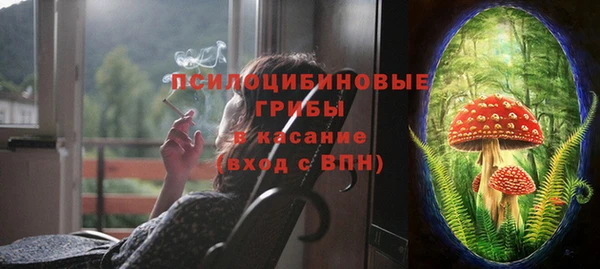 ГАЛЛЮЦИНОГЕННЫЕ ГРИБЫ Алексин