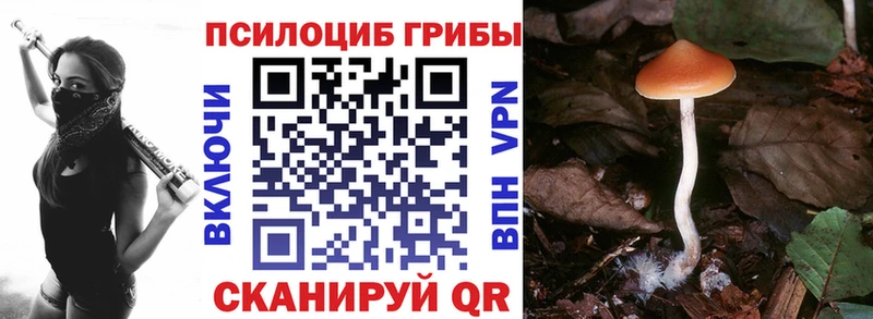 Галлюциногенные грибы прущие грибы  магазин    Кола 